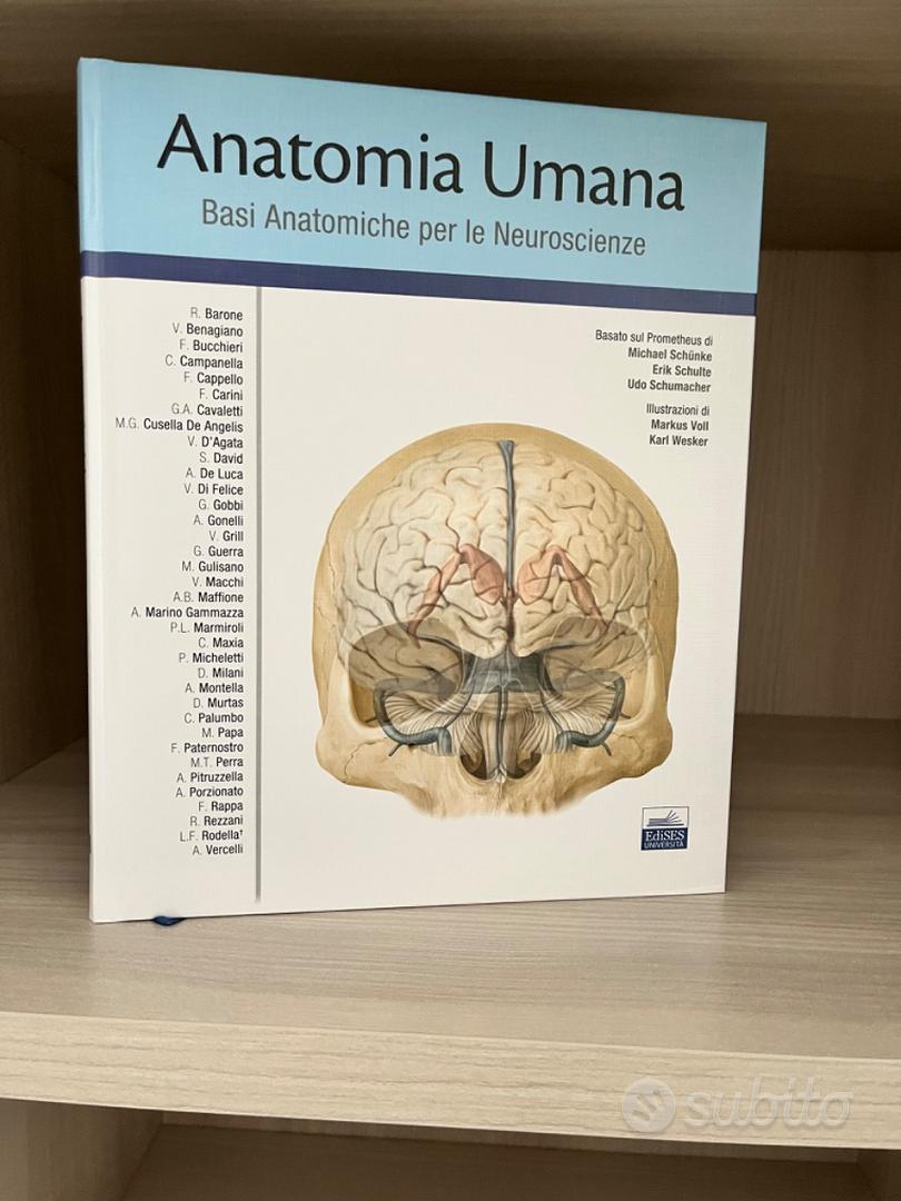 Trattato di Anatomia Umana basato sul Prometheus - Libri e Riviste In  vendita a Foggia