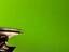 Immagine 26