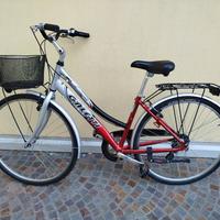 bicicletta da donna 