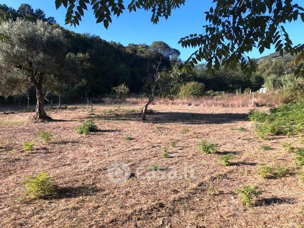 Rudere con 6.000 mt di terreno - Vista 5