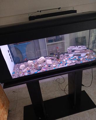 acquario 