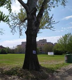 Parco del quinzio App,to di mq 125 + garage