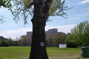 Parco del quinzio App,to di mq 125 + garage