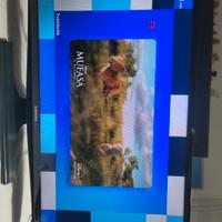tv samsung 28 pollici
