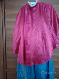 Carnevale principessa Anna originale Disney  