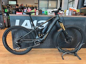 Wild M-Ltd - Tg. M - Anno 2023