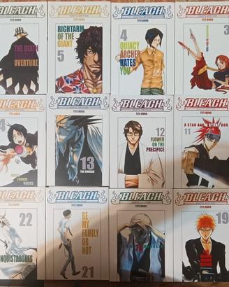 Bleach 1-48
