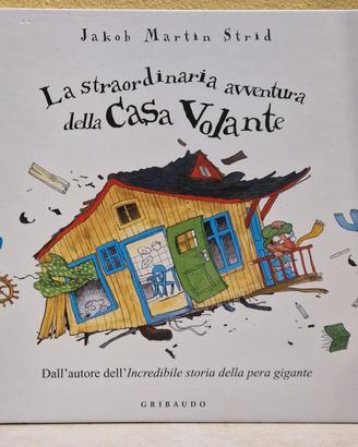La straordinaria avventura della casa volante