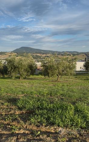 Terreno Edificabile - Zona Candia