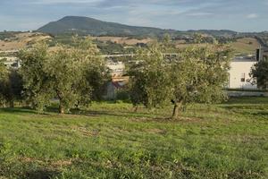 Terreno Edificabile - Zona Candia
