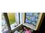 Immagine 17