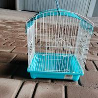 Gabbia per trasporto uccelli