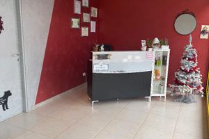 Attività di toelettatura avviata