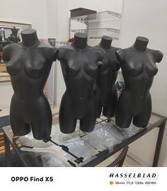 busto donna 
