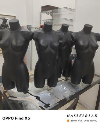 busto donna 
