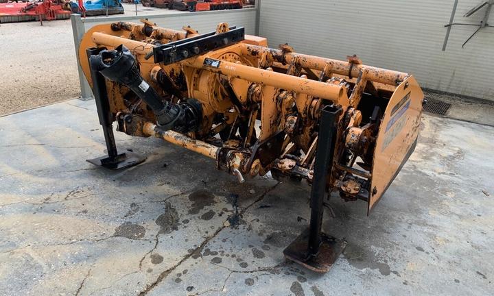 VANGATRICE SELVATICI