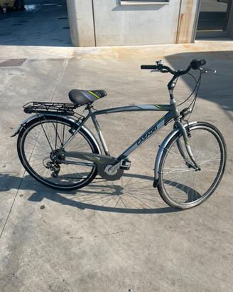 bicicletta casadei ego