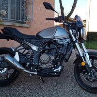 Voge Trofeo 300 - 2025