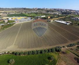 Terreno Edificabile - Ispica