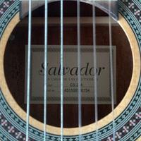 Salvador Cortez CS-234