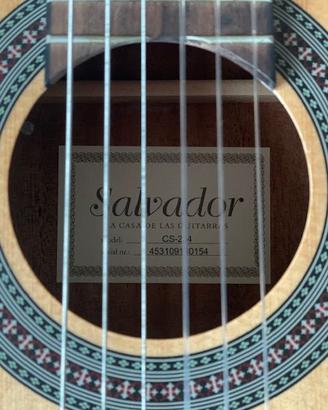 Salvador Cortez CS-234