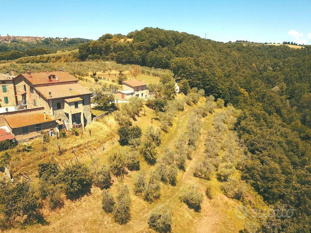 Rustico / Casale di 558 m² con 3 locali a Monteleo - Altro