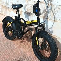bici elettrica 36 v 250w