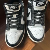Nike Dunk Low Panda