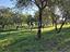 Immagine 20