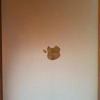MacBookProM1/13”/16gb/256gb + accessori