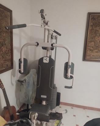 bella robusta e sana palestra