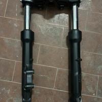 Ammortizzatori anteriori BEVERLY 300/350 HPE