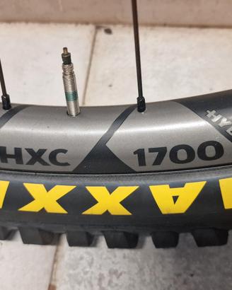 dtswiss hxc1700 carbon 29  emtb dt 350 ratchet 