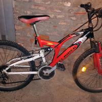bicicletta mtb 
