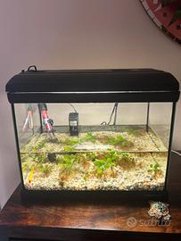 Acquario completo Newa Mirabello 30