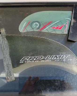 Due pinne per windsurf