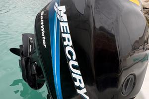 Motore Mercury Optimax 2 tempi 115 L