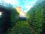 Immagine 11