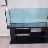 Acquario da ristrutturare