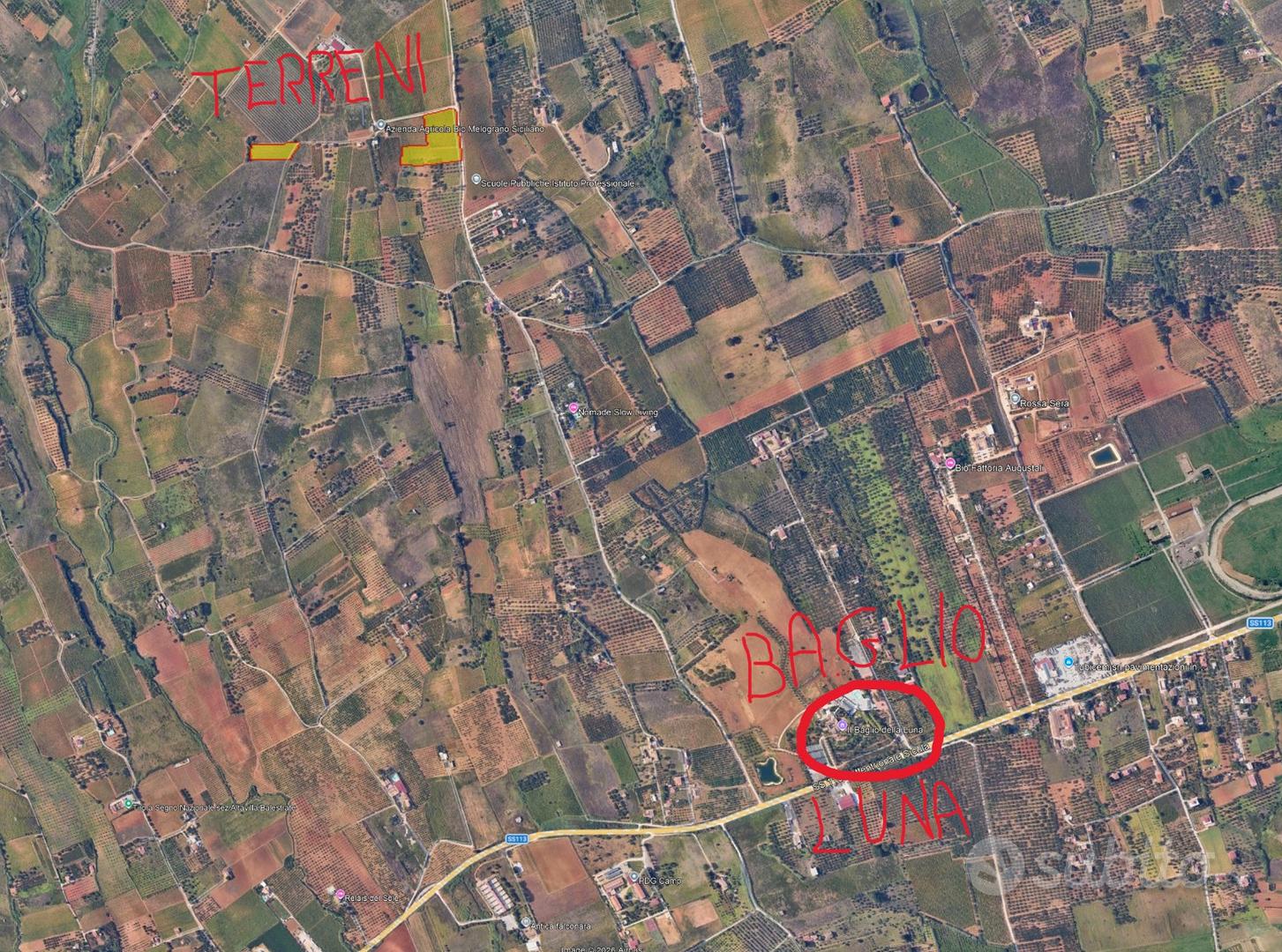 Terreno Bosco Falconeria 15.500mq Vitigno - Altro
