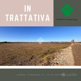 TER. AGRICOLO A CAPENA