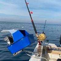 Gettasarde elettronico no sardamatic