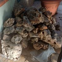 Rocce decorative da giardino