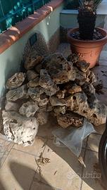 Rocce decorative da giardino