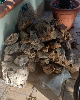 Rocce decorative da giardino