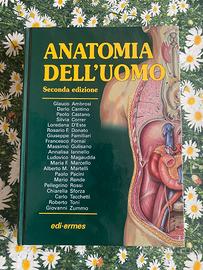 Anatomia dell’uomo