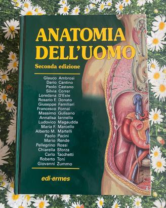 Anatomia dell’uomo