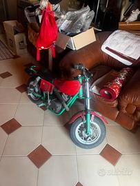 Minimoto morini