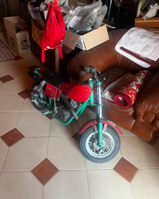 Minimoto morini