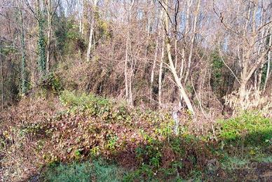 Immobile in asta di 11200 m² a Castello di Brianza